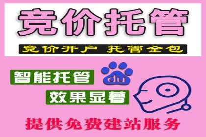 百度竞价排名案例解析：如何快速提升网站流量